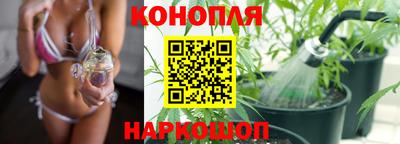 круглые Владимир