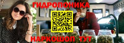 хмурый Бердск