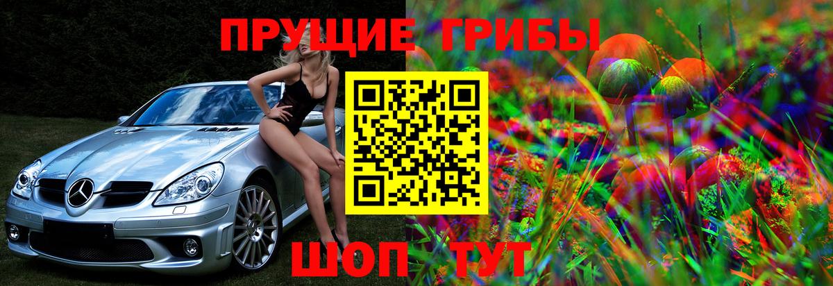 Псилоцибиновые грибы мицелий Брянск